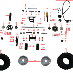 זרוע אחורית